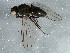 ( - BIOUG05563-C01)  @13 [ ] CreativeCommons - Attribution (2013) CBG Photography Group Centre for Biodiversity Genomics