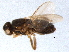  ( - BIOUG05568-H05)  @13 [ ] CreativeCommons - Attribution (2012) CBG Photography Group Centre for Biodiversity Genomics