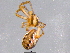  ( - BIOUG05578-A04)  @12 [ ] CreativeCommons - Attribution (2012) CBG Photography Group Centre for Biodiversity Genomics