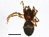  ( - BIOUG05609-E08)  @12 [ ] CreativeCommons - Attribution (2013) CBG Photography Group Centre for Biodiversity Genomics