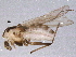  ( - BIOUG05628-D09)  @13 [ ] CreativeCommons - Attribution (2012) CBG Photography Group Centre for Biodiversity Genomics