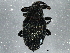  ( - BIOUG05647-G09)  @13 [ ] CreativeCommons - Attribution (2013) CBG Photography Group Centre for Biodiversity Genomics