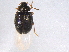  ( - BIOUG05652-F06)  @14 [ ] CreativeCommons - Attribution (2012) CBG Photography Group Centre for Biodiversity Genomics