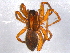  ( - BIOUG05662-C01)  @12 [ ] CreativeCommons - Attribution (2012) CBG Photography Group Centre for Biodiversity Genomics