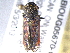  ( - BIOUG05670-G04)  @14 [ ] CreativeCommons - Attribution (2012) CBG Photography Group Centre for Biodiversity Genomics