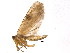 ( - BIOUG05676-D02)  @12 [ ] CreativeCommons - Attribution (2012) CBG Photography Group Centre for Biodiversity Genomics