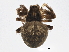  ( - BIOUG05713-A12)  @14 [ ] CreativeCommons - Attribution (2013) CBG Photography Group Centre for Biodiversity Genomics