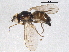  ( - BIOUG05714-F01)  @12 [ ] CreativeCommons - Attribution (2012) CBG Photography Group Centre for Biodiversity Genomics