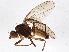 ( - BIOUG05718-G01)  @13 [ ] CreativeCommons - Attribution (2013) CBG Photography Group Centre for Biodiversity Genomics