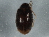  ( - BIOUG05719-B04)  @13 [ ] CreativeCommons - Attribution (2013) CBG Photography Group Centre for Biodiversity Genomics