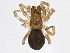  ( - BIOUG05725-B07)  @12 [ ] CreativeCommons - Attribution (2013) CBG Photography Group Centre for Biodiversity Genomics