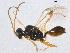  ( - BIOUG05726-D09)  @14 [ ] CreativeCommons - Attribution (2012) CBG Photography Group Centre for Biodiversity Genomics