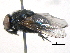  ( - BIOUG05747-B02)  @13 [ ] CreativeCommons - Attribution (2012) CBG Photography Group Centre for Biodiversity Genomics