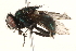  ( - BIOUG08373-E01)  @13 [ ] CreativeCommons - Attribution (2015) CBG Photography Group Centre for Biodiversity Genomics