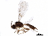  ( - BIOUG08491-E01)  @13 [ ] CreativeCommons - Attribution (2017) CBG Photography Group Centre for Biodiversity Genomics