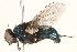  ( - BIOUG08500-B09)  @13 [ ] CreativeCommons - Attribution (2015) CBG Photography Group Centre for Biodiversity Genomics
