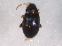  ( - BIOUG08639-D10)  @14 [ ] CreativeCommons - Attribution (2014) CBG Photography Group Centre for Biodiversity Genomics