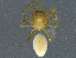  ( - BIOUG08639-G04)  @12 [ ] CreativeCommons - Attribution (2013) CBG Photography Group Centre for Biodiversity Genomics