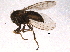  ( - BIOUG08682-G05)  @12 [ ] CreativeCommons - Attribution (2014) CBG Photography Group Centre for Biodiversity Genomics