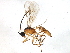  ( - BIOUG08665-C04)  @13 [ ] CreativeCommons - Attribution (2014) CBG Photography Group Centre for Biodiversity Genomics