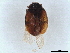  ( - BIOUG13058-D11)  @11 [ ] CreativeCommons - Attribution (2022) CBG Photography Group Centre for Biodiversity Genomics