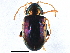  ( - BIOUG13082-A12)  @14 [ ] CreativeCommons - Attribution (2014) CBG Photography Group Centre for Biodiversity Genomics