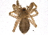  ( - BIOUG16047-D04)  @14 [ ] CreativeCommons - Attribution (2014) CBG Photography Group Centre for Biodiversity Genomics
