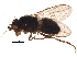  ( - BIOUG16049-B02)  @13 [ ] CreativeCommons - Attribution (2014) CBG Photography Group Centre for Biodiversity Genomics