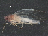  ( - BIOUG16050-F08)  @12 [ ] CreativeCommons - Attribution (2016) CBG Photography Group Centre for Biodiversity Genomics