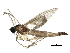  ( - BIOUG16112-E08)  @14 [ ] CreativeCommons - Attribution (2014) CBG Photography Group Centre for Biodiversity Genomics