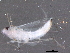  ( - BIOUG16120-C09)  @12 [ ] CreativeCommons - Attribution (2014) CBG Photography Group Centre for Biodiversity Genomics