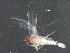  ( - BIOUG16120-D10)  @12 [ ] CreativeCommons - Attribution (2016) CBG Photography Group Centre for Biodiversity Genomics