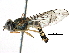  ( - BIOUG16064-E08)  @14 [ ] CreativeCommons - Attribution (2016) CBG Photography Group Centre for Biodiversity Genomics