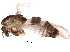  ( - BIOUG16136-G08)  @12 [ ] CreativeCommons - Attribution (2015) CBG Photography Group Centre for Biodiversity Genomics