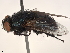  ( - BIOUG21920-F06)  @11 [ ] CreativeCommons - Attribution (2021) CBG Photography Group Centre for Biodiversity Genomics