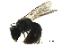  ( - BIOUG21997-A05)  @12 [ ] CreativeCommons - Attribution (2018) CBG Photography Group Centre for Biodiversity Genomics