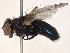  ( - BIOUG22024-A07)  @11 [ ] CreativeCommons - Attribution (2021) CBG Photography Group Centre for Biodiversity Genomics