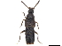  ( - BIOUG22036-B02)  @11 [ ] CreativeCommons - Attribution (2019) CBG Photography Group Centre for Biodiversity Genomics