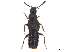  ( - BIOUG22036-B07)  @11 [ ] CreativeCommons - Attribution (2019) CBG Photography Group Centre for Biodiversity Genomics