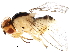 ( - BIOUG25597-G06)  @14 [ ] CreativeCommons - Attribution (2015) CBG Photography Group Centre for Biodiversity Genomics