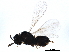  ( - BIOUG25600-G08)  @13 [ ] CreativeCommons - Attribution (2019) CBG Photography Group Centre for Biodiversity Genomics
