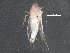  ( - BIOUG25628-A11)  @12 [ ] CreativeCommons - Attribution (2016) CBG Photography Group Centre for Biodiversity Genomics
