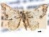  ( - BIOUG10947-C05)  @11 [ ] CreativeCommons - Attribution (2014) CBG Photography Group Centre for Biodiversity Genomics