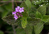  ( - SanguinettiA0311)  @11 [ ] CreativeCommons - Attribution Non-Commercial No Derivatives (2017) Agustín Sanguinetti Agustín Sanguinetti