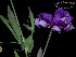  ( - SanguinettiA0339)  @11 [ ] CreativeCommons - Attribution Non-Commercial No Derivatives (2017) Agustín Sanguinetti Agustín Sanguinetti