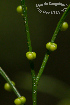  ( - SanguinettiA0196)  @11 [ ] CreativeCommons - Attribution Non-Commercial No Derivatives (2017) Agustín Sanguinetti Agustín Sanguinetti