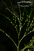  ( - SanguinettiA0196)  @11 [ ] CreativeCommons - Attribution Non-Commercial No Derivatives (2017) Agustín Sanguinetti Agustín Sanguinetti