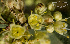  ( - SanguinettiA0185)  @11 [ ] CreativeCommons - Attribution Non-Commercial No Derivatives (2017) Agustín Sanguinetti Agustín Sanguinetti