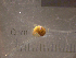  ( - 22-SNAIL-0317)  @11 [ ] CreativeCommons - Attribution Share-Alike (2023) Unspecified Drexel University, Academy of Natural Sciences