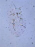  ( - SNU277)  @12 [ ] CreativeCommons - Attribution Share-Alike (2015) Unspecified Seoul National Uiversity